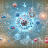 Die Auswirkungen von Tirzepatide auf das Immunsystem: Ein Experteneinblick