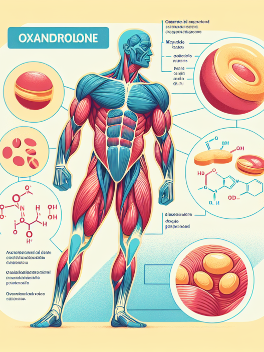Die Wirkung von Oxandrolon im Muskelaufbauprozess.